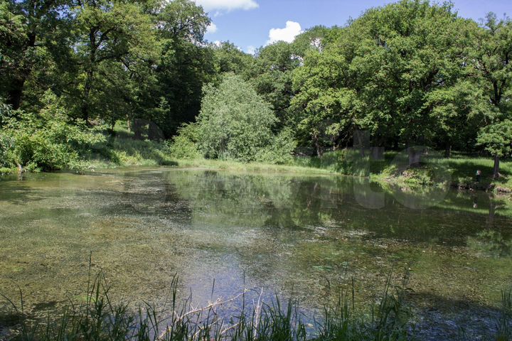 Участок 30 га (СНТ, ДНП)