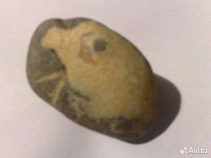 Сальвадор Дали. Творчество природы