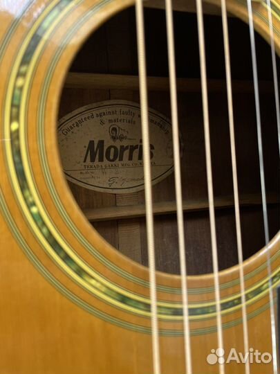 Трансакустическая гитара Morris Japan