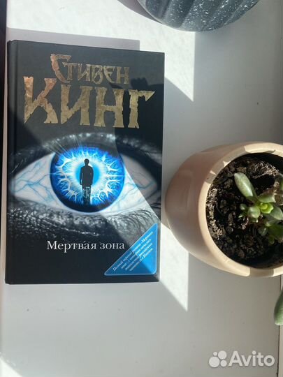 Стивен Кинг мертвая зона