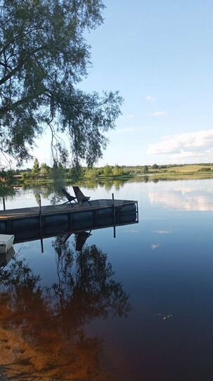 Дом 54,5 м² на участке 12 сот.