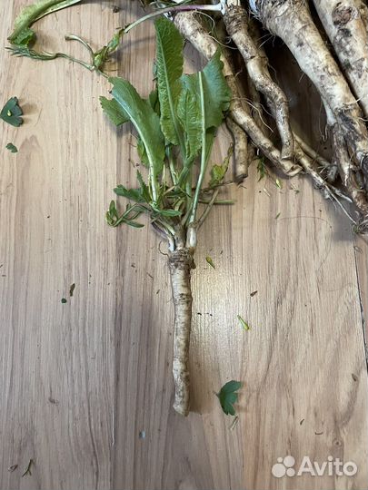 Хрен на посадку