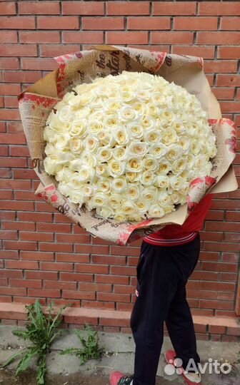 Роза Садовая ароматная Канделайт букет