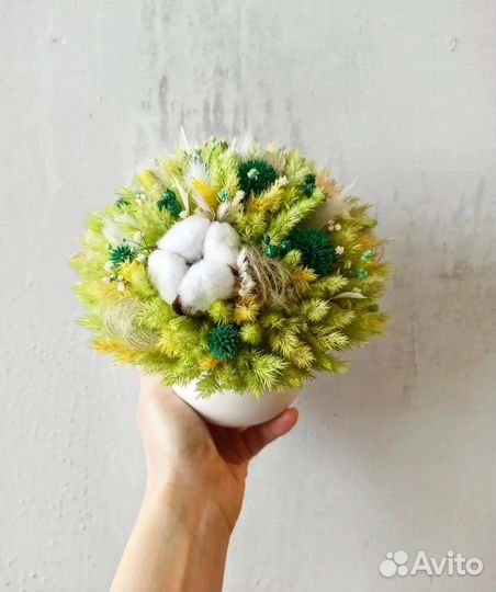 Сухоцветы композиция