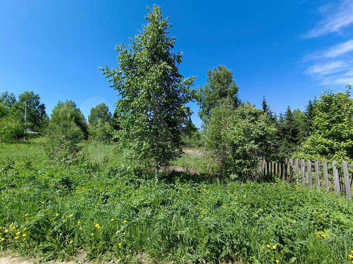 Участок 10 сот. (СНТ, ДНП)