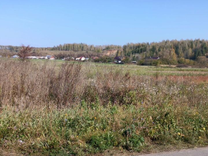 Участок 11 сот. (ИЖС)