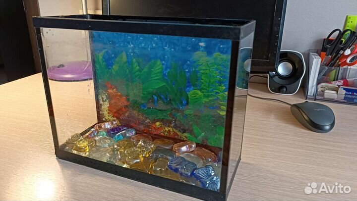 Аквариум