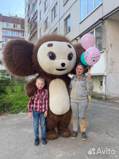 Надувные костюмы,мишка ростовая кукла,чебурашка