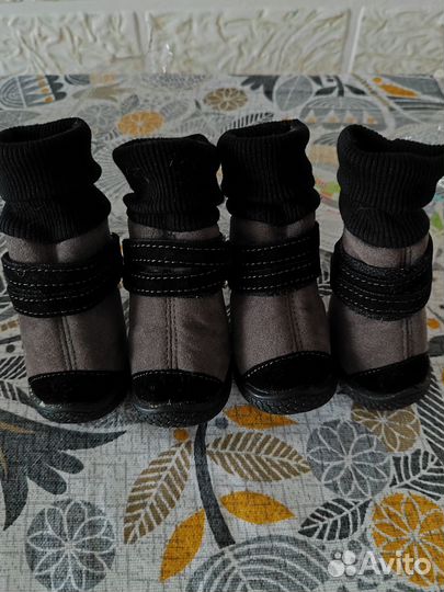 Сапожки для собак