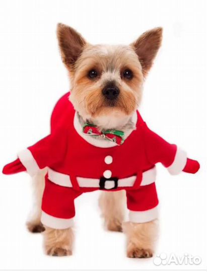 Комбинезон «пчелка» «дед мороз» для йорка