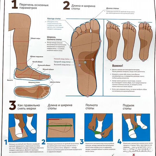 Плакат Размер обуви А1