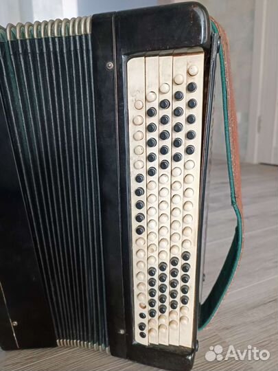 Баян тульский