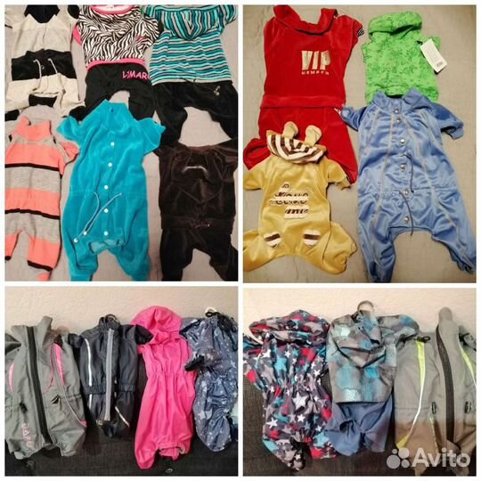 Одежда для собак