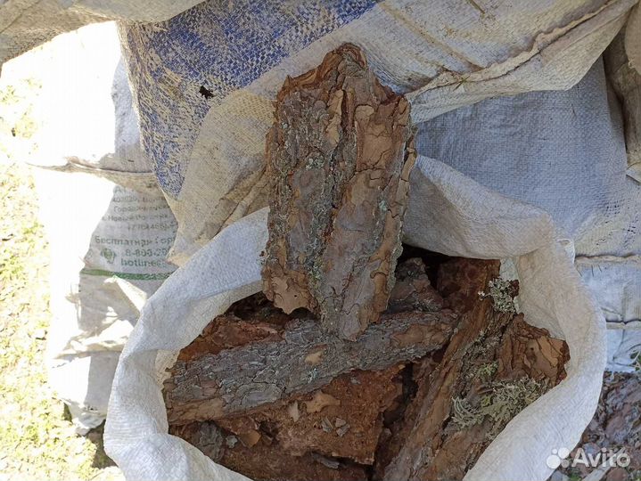 Кора сосновая