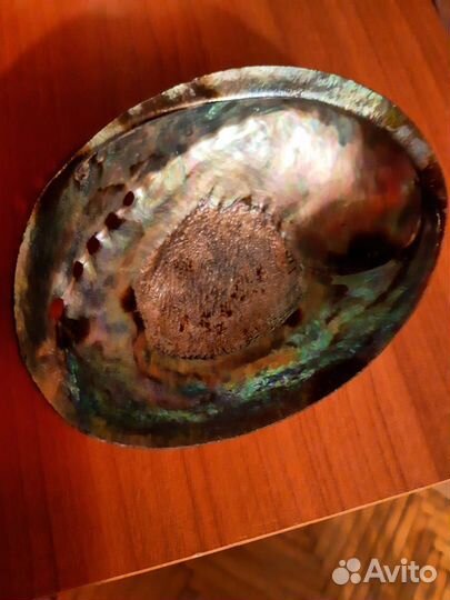 Натуральная перламутровая ракушка