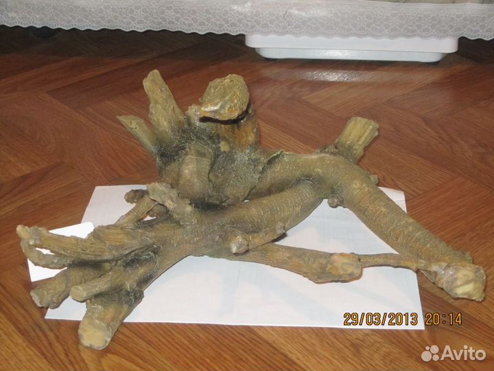 Продаю новую корягу для аквариума