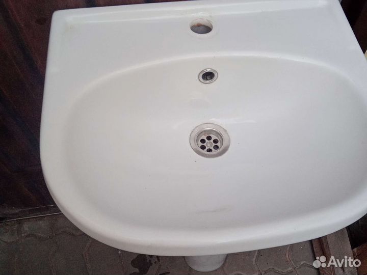 Раковина тюльпан