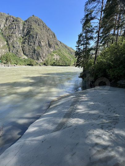 Участок 100 сот. (СНТ, ДНП)