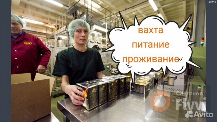 Упаковщик чая сидя с проживанием и питанием Москва