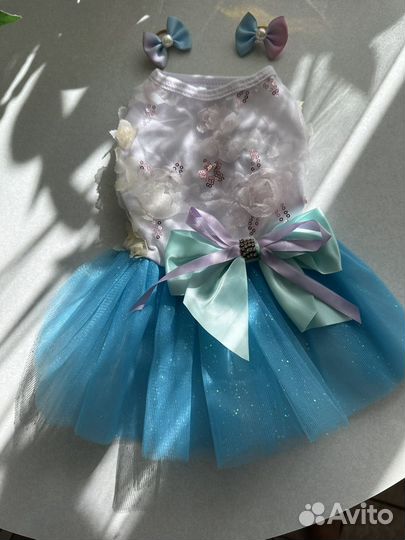 Одежда для маленьких собак