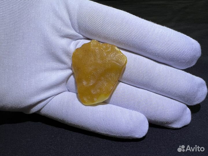 Птица Феникс из Балтийского янтаря