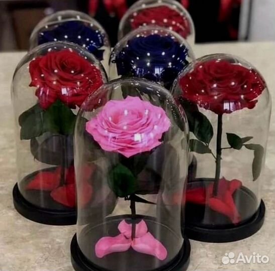 Вечная роза в колбе