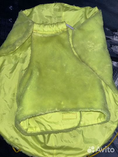 Одежда попона для собак