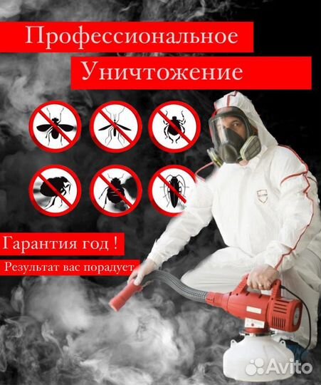 Уничтожение тараканов клопов клещей блох мышей