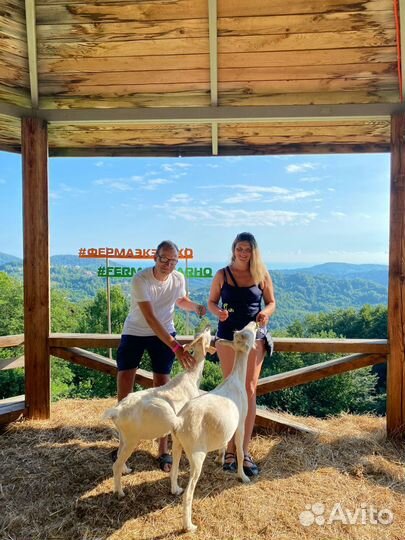 Тур Голубая лагуна, экоферма, воздушный шар