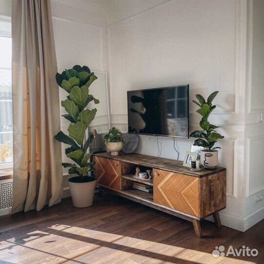 Тумба под тв Fusion из массива дерева 160х55х40 см