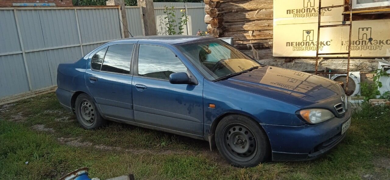 Nissan Primera: фото владельца
