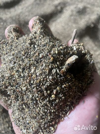 Зерно смесь