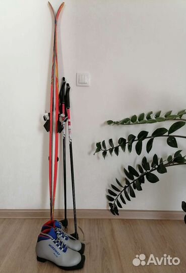 Лыжи беговые