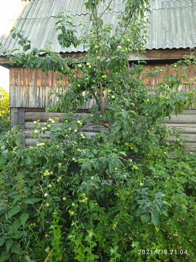 Дача 55 м² на участке 5 сот.