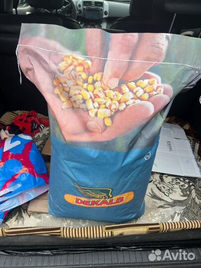 Семена кукурузы дкс 4178