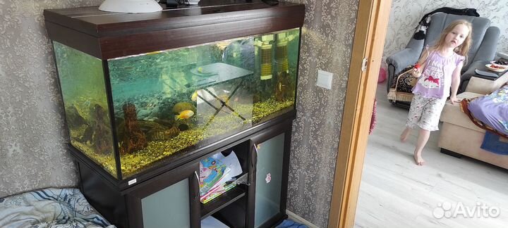 Аквариум