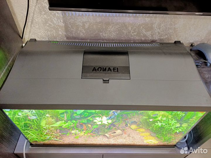 Аквариум