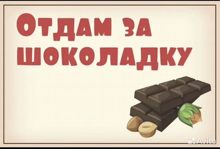 Отдам детские вещи с 0-2х лет за шоколадку