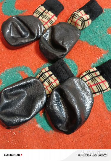 Носочки для собак