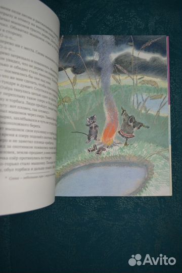 Детские сказки с иллюстрациями Е.Рачева