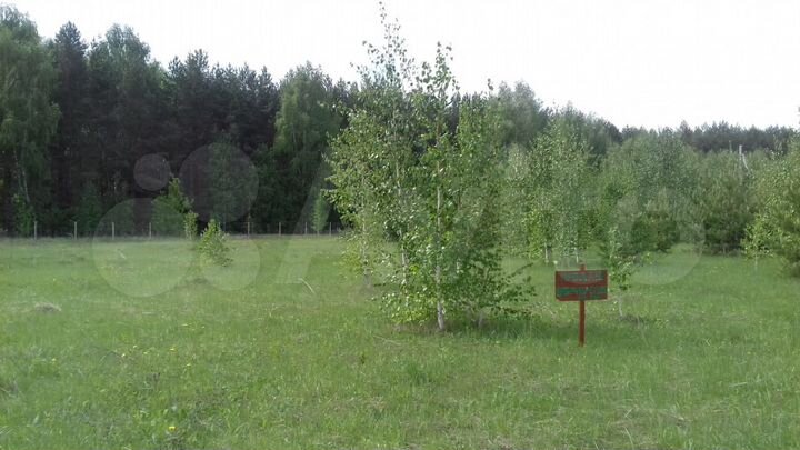 Участок 11,6 сот. (ИЖС)