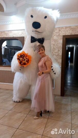 Белый медведь, бурый медведь, аниматор на праздник
