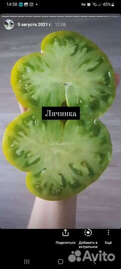 Семена томатов