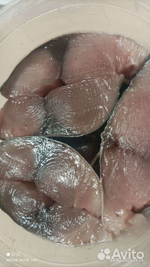 Пеламида слабосоленая с чесночком