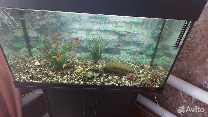 Аквариум с тумбой 120 литров