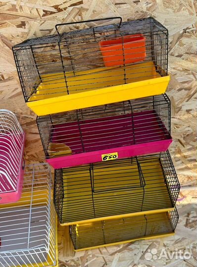 Клетки разные