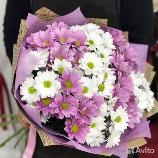 Букет Цветы Хризантемы