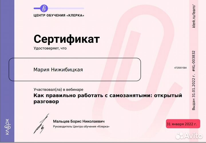 Главный бухгалтер (только удаленно)