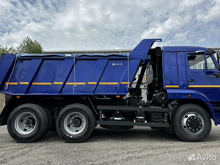 КамАЗ 65116, 2013