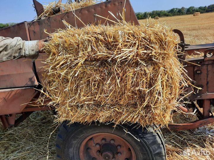 Продаю сено солому в брикетах